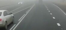 "Кормушка для оборотней"