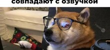 Продолжаем барражировать соцсети