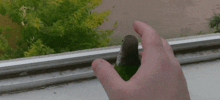 Просто гифки, всякие и&nbsp;разные