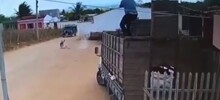 Грабители пожалели, что связались с фермером
