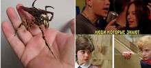 Осенняя подборка для любителей кино и мемов