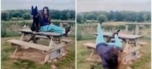 Собаки выгуливают своих людей