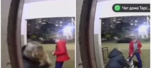 Агрессивный пёс напал на собаку девочки-подростка в Омске