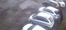 Момент нападения медведя на автомобилиста попал на видео