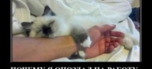 Смешные и странные демотиваторы на злобу дня