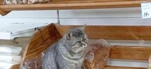 Скрины из соцсетей 