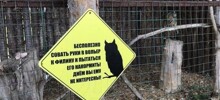 Смешные и доходчивые предупреждения в зоопарке