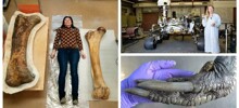 30 впечатляющих фотографий, показывающих реальный масштаб вещей