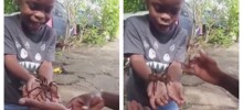 Неудачное знакомство с пауком