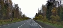 Даже Олени смотрят по сторонам