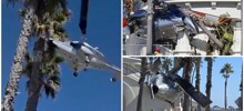 Вертолёт рухнул возле пляжа в Калифорнии