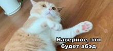 Не ищите здесь смысл. Здесь в основном маразм