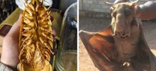 14 + фотографий-доказательств того, что природа до сих пор способна удивить человека