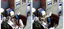 Кот пришёл попрощаться