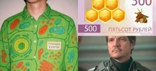 Ухо "Ростовское" и Мандалорец: новые каламбуры и лингвошутки