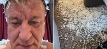 «Проснулся весь в перьях»: певец Сергей Пенкин заплатит 350 тысяч рублей за порванный матрас в новосибирском отеле