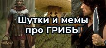 Подборка из осеннего леса
