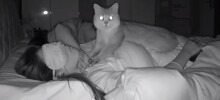 Бессонная ночь кота-массажиста