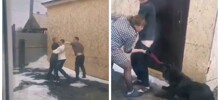 Когда драка выходит из-под контроля: вмешалась даже собака