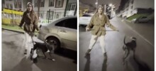 В Питере женщина спустила собаку на мужчину, сделавшего ей замечание