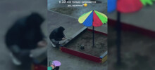 Муж застрял в песочнице с игрушечным экскаватором