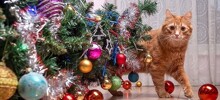 Кошки против новогодних елок