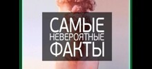 20+ настолько невероятных фактов, в которые трудно поверить, но они абсолютно реальны!