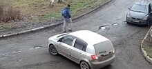 Побибикал и началось...