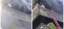 Драматичное спасение женщины и её собак во время пожара на Филиппинах