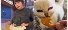 Китаянка с социальной тревожностью спасла 120 кошек, собирая остатки еды со свадеб