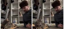 Мужчина в стиле Михаила Круга объяснил своему коту, где находится лоток
