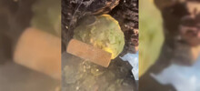 Мужчина приготовил суп при −50°: экстремальная кулинария