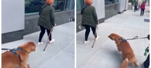 Хороший мальчик едва не перешёл на тёмную сторону