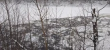 Более 200 овец утонули в озере в Башкирии