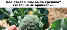 Смешные картинки