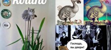 Баран кигну и бульб-терьер: новые каламбуры и лингвошутки