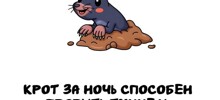 А вдруг ты не знал…