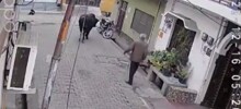 Дед напал на быка и был наказан
