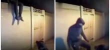Собака достойно встретила незваного гостя
