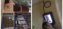 Элитный дом для кота