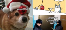 "А следующий год лошади какого всадника?": мемы про Новый год, которые вернут вам праздничный дух