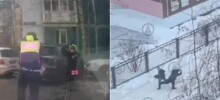 В Петербурге дворник при помощи подножки помог полиции задержать нарушителя