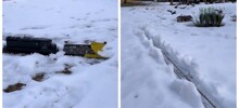 Игрушечный поезд расчищает себе путь
