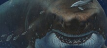 Мегалодон: история открытия морского монстра