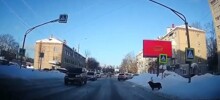 Мне кажется, что они умнее некоторых людей