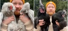 Мужчина рассказал о своих курочках