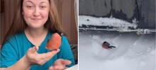 Женщина спасла замёрзшего снегиря
