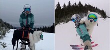 Девушка показала, как она вместе со своей собакой катается на лыжах