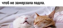 Смешные картинки