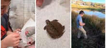 Отец и сын нашли внутри рыбы живого черепашонка